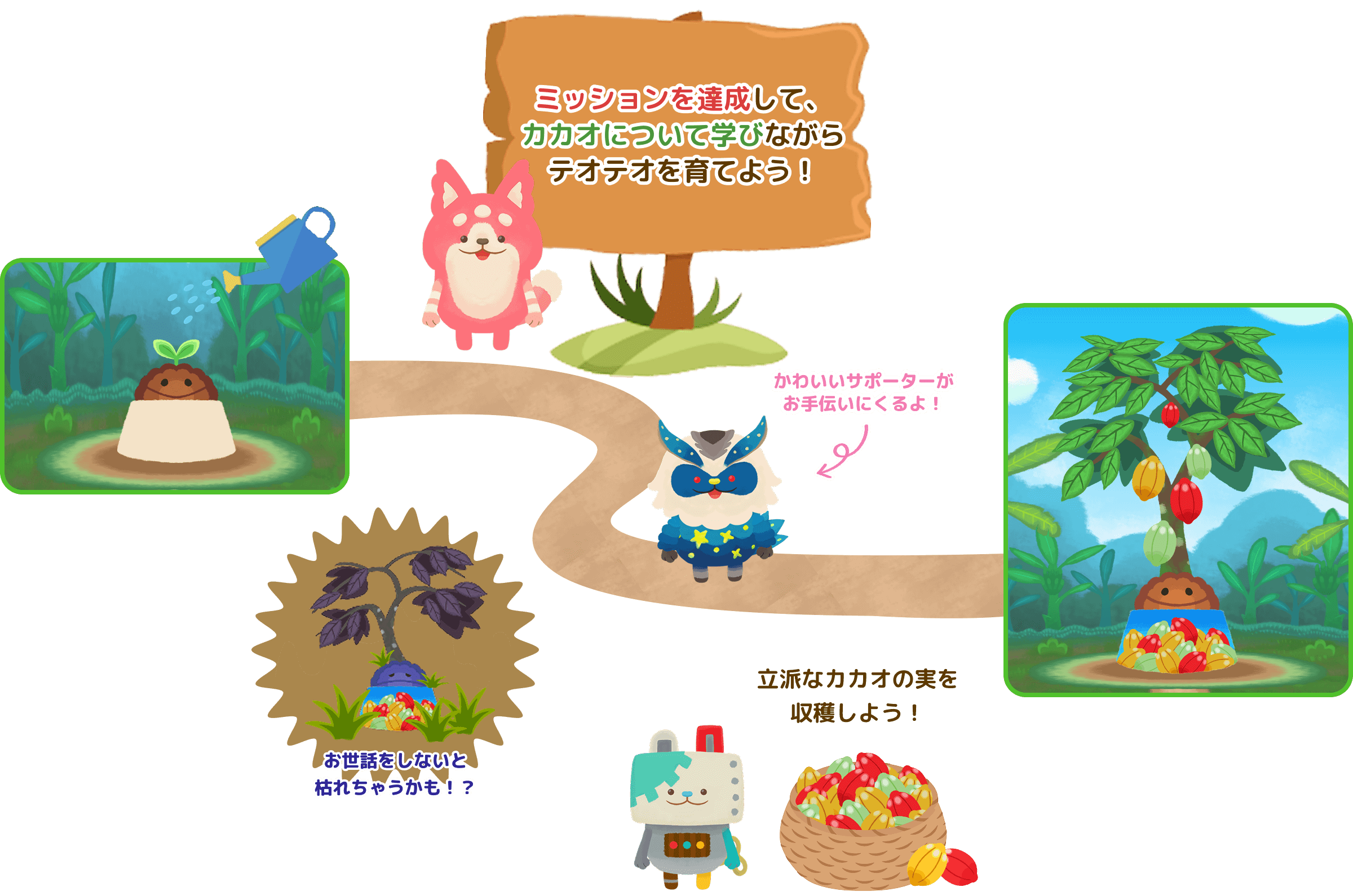 ミッションを達成して、 カカオについて学びながら テオテオを育てよう! かわいいサポーターが お手伝いにくるよ! おせわをしないと 枯れちゃうかも!? 立派なカカオの実を収穫しよう!