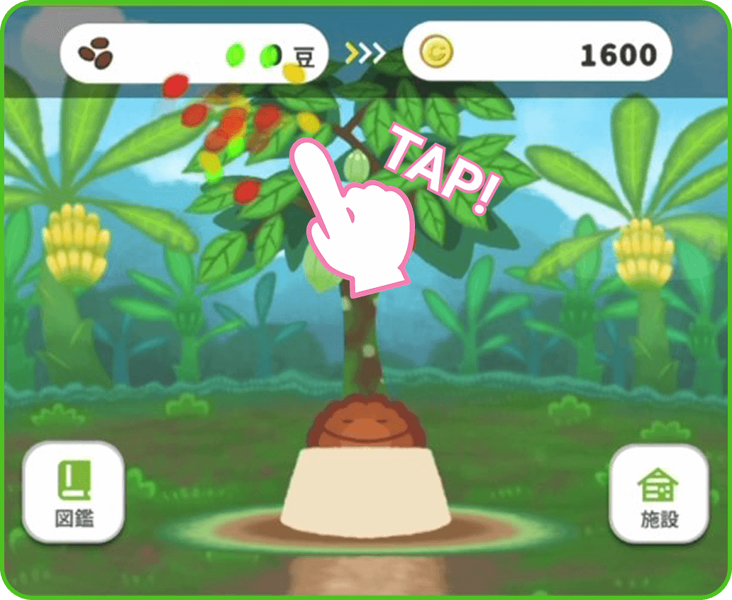 テオテオが大きくなるとカカオの実(カカオポッド)ができるよ!タップで収穫しよう!